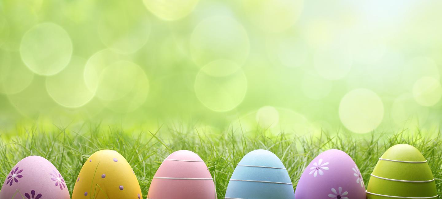 Blue Marine Mielno | Mielno | 1