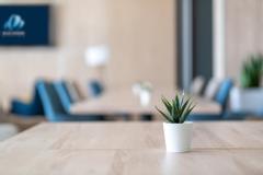 Blue Marine Mielno | Mielno | Galerie 13